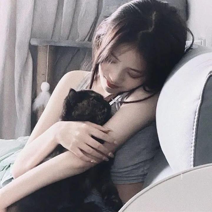 八犬传:东方八犬异闻
